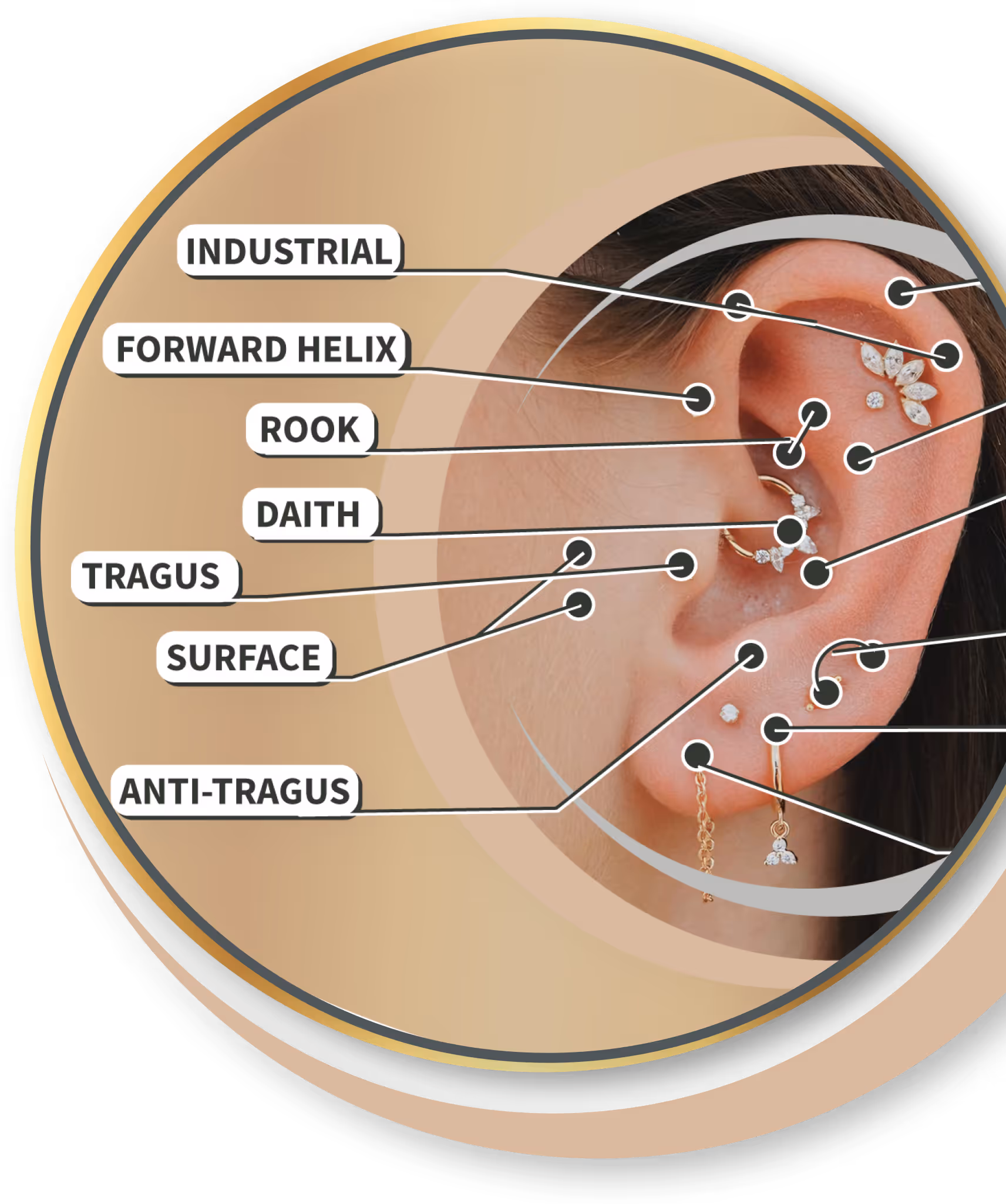 Der Piercing-Guide zeigt alle Möglichkeiten für Roetgen 