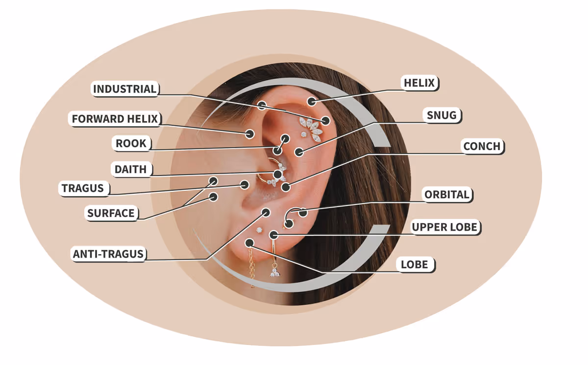 Hier geht es zum Piercing-Guide vom Piercingstudio Aachen nadelkunst.ar